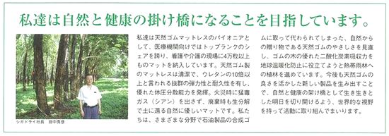 シガドライ